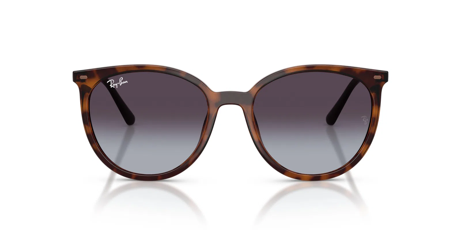 Ray-Ban 4464L Sunglasses - view 16